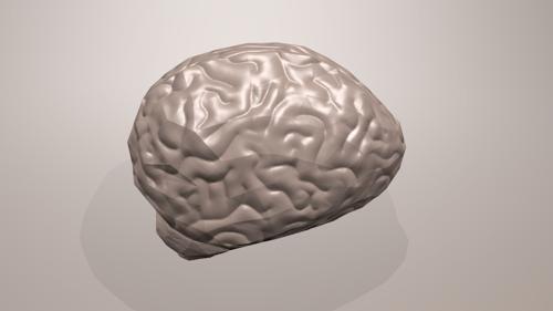 Brain Low Poly preview image
